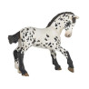 Poulain Appaloosa noir PAPO