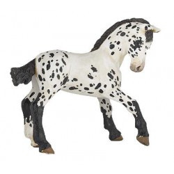 Poulain Appaloosa noir PAPO