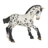 Poulain Appaloosa noir PAPO