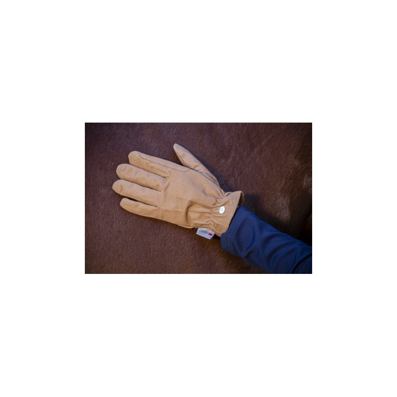 Gants EQUITHÈME - Travail
