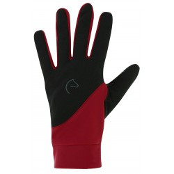 Gants EQUITHÈME - Knit- digital