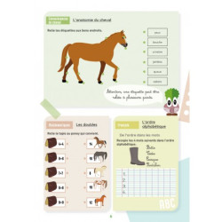 Mon Cahier d'Activités LAVAUZELLE - Niveau CP