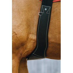 Sangle anatomique NORTON PRO - Magnet