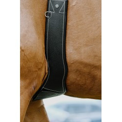 Sangle anatomique NORTON PRO - Magnet