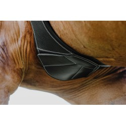 Sangle anatomique NORTON PRO - Magnet