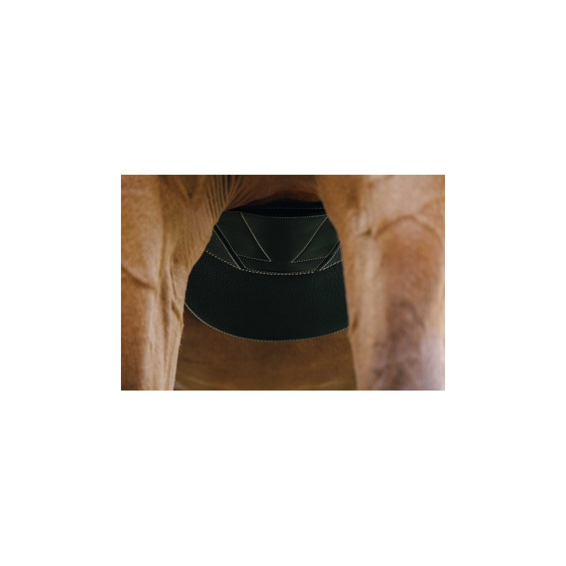 Sangle bavette NORTON PRO - Magnet