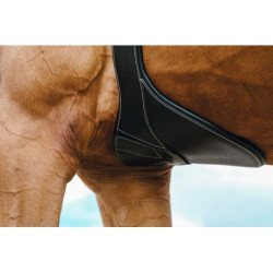 Sangle bavette NORTON PRO - Magnet