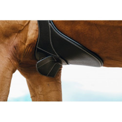 Sangle bavette NORTON PRO - Magnet