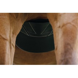 Sangle bavette NORTON PRO - Magnet