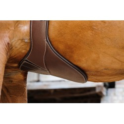 Sangle bavette NORTON PRO - Magnet