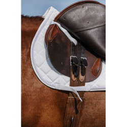 Tapis de selle RIDING WORLD - Velours