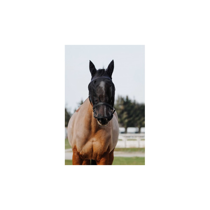 Licol + masque EQUITHÈME