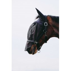 Licol + masque EQUITHÈME