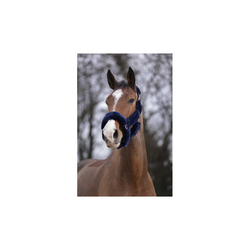 Licol EQUITHÈME - Teddy rose gold