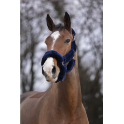 Licol EQUITHÈME - Teddy rose gold