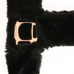 Licol EQUITHÈME - Teddy rose gold