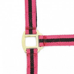 Licol nylon NORTON doublé cuir