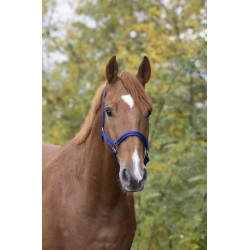 Licol nylon NORTON doublé cuir