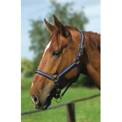 Licol nylon NORTON doublé cuir