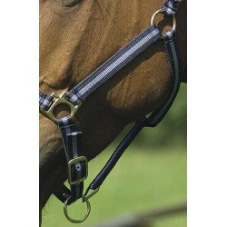 Licol nylon NORTON doublé cuir