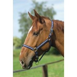 Licol nylon NORTON doublé cuir