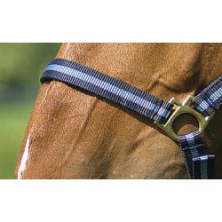 Licol nylon NORTON doublé cuir