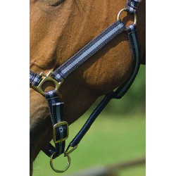 Licol nylon NORTON doublé cuir