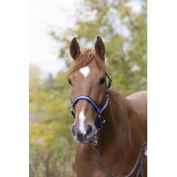 Licol nylon NORTON doublé cuir