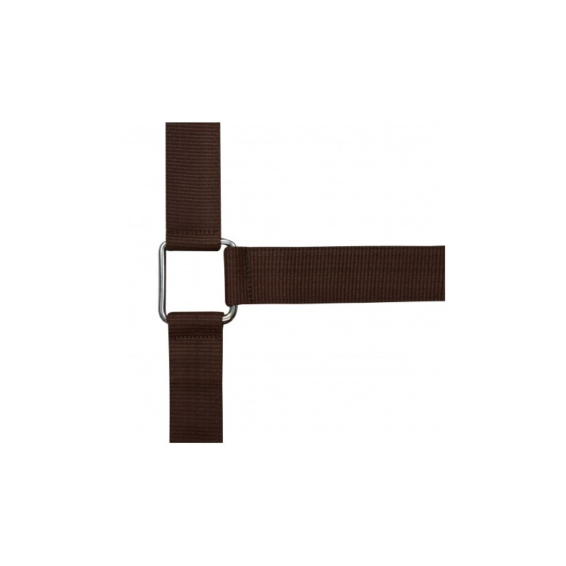 Licol NORTON - Cheval de trait