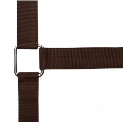 Licol NORTON - Cheval de trait