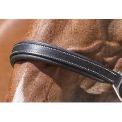 Licol cuir NORTON PRO - Grooming