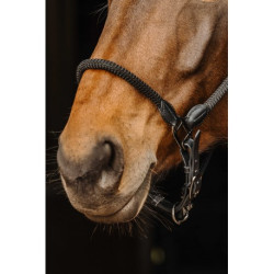 Licol cuir/corde NORTON