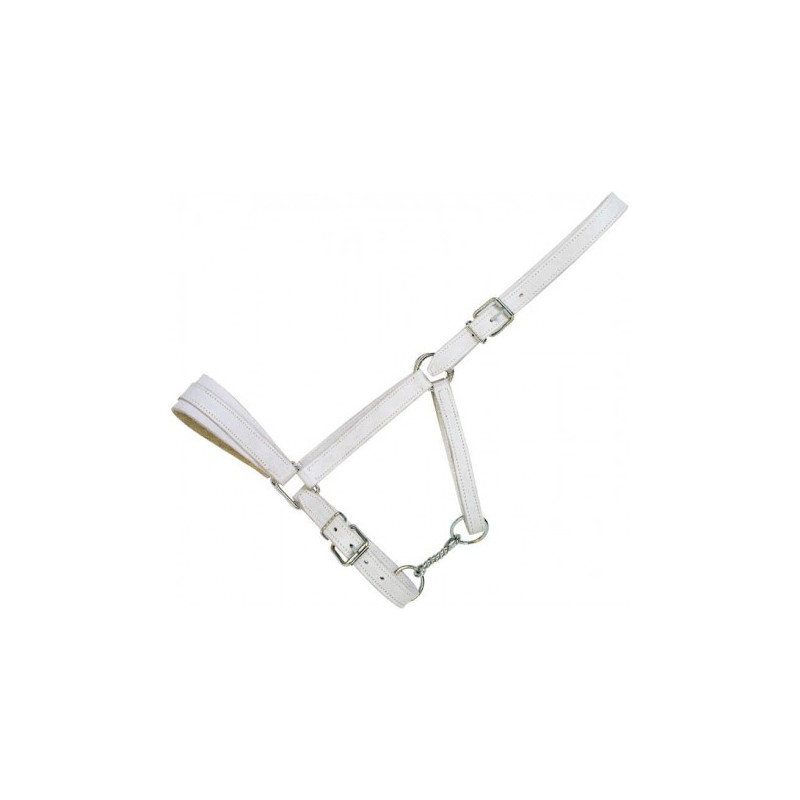 Licol cuir chromé NORTON CLUB