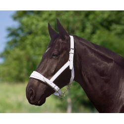 Licol cuir chromé NORTON CLUB