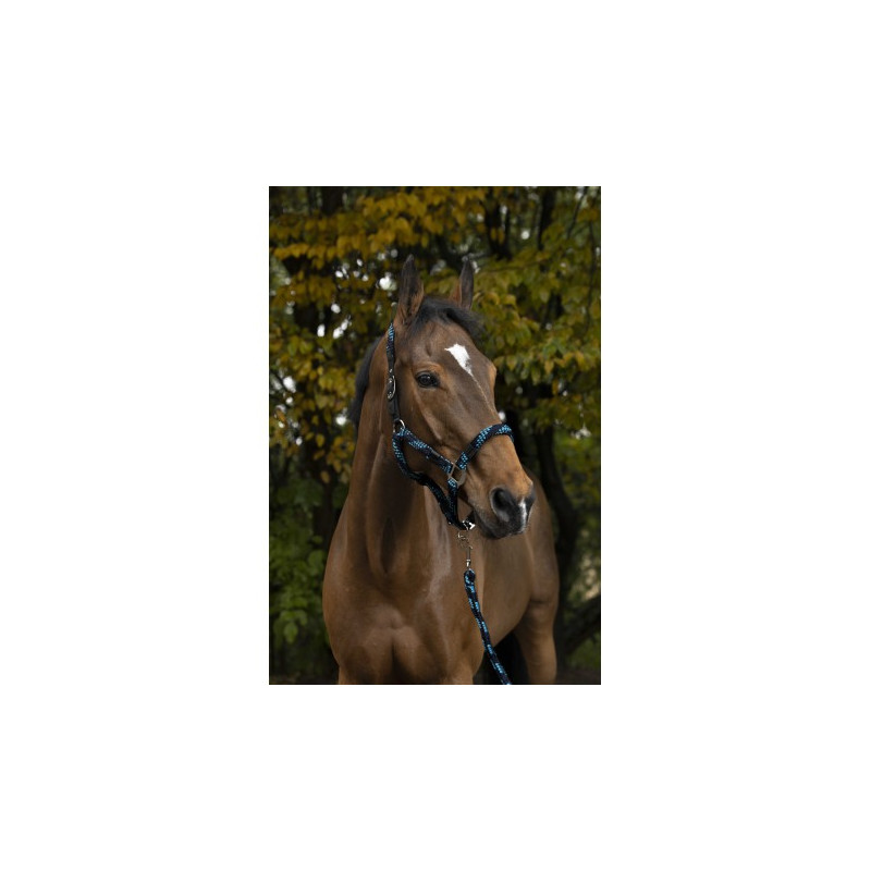 Licol + longe EQUITHÈME - Tressé
