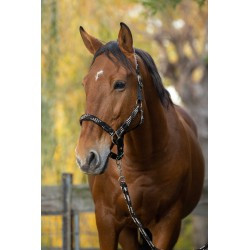 Licol + longe EQUITHÈME - Tressé