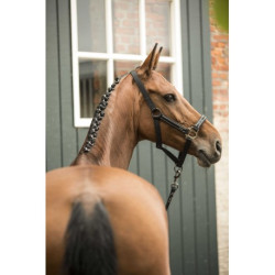 Licol + longe LAMI-CELL - Classical