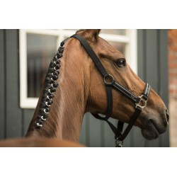 Licol + longe LAMI-CELL - Classical