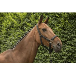 Licol + longe LAMI-CELL - Classical