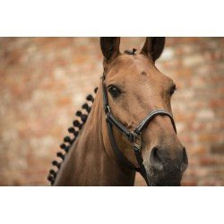 Licol + longe LAMI-CELL - Classical