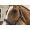 Licol + longe LAMI-CELL - Classical