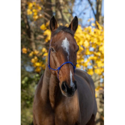 Licol éthologique RIDING WORLD corde - Fin