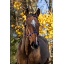 Licol éthologique RIDING WORLD corde - Fin