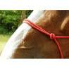 Licol éthologique RIDING WORLD corde - Fin