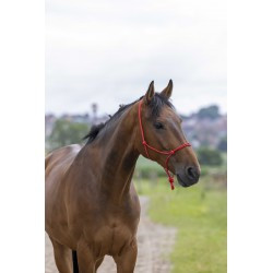 Licol éthologique RIDING WORLD corde - Fin