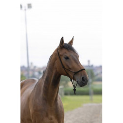 Licol corde NORTON - First