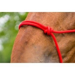 Licol corde NORTON - First