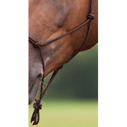 Licol éthologique NORTON - Doux