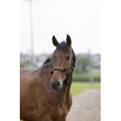 Licol éthologique NORTON - Corde/synthétique