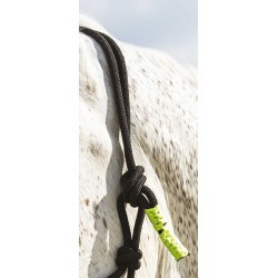 Licol éthologique + longe NORTON - Fun colour